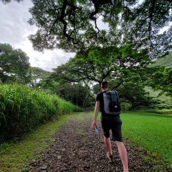 Moanalua Valley Trail - Starting Moanalua Valley Trail - Hiking Near Me - Moanalua, Hawaii Moanalua Valley Trail - Starting Moanalua Valley Trail - Hiking Near Me - Moanalua, Hawaii