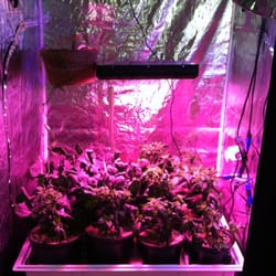 Growing with LED Grow Lights and Hydroponics at HTGSupply Portland Maine