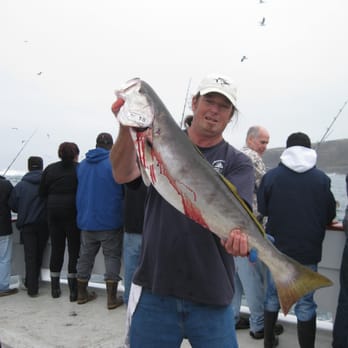 Freedom Sportfishing - Thats what we do on the Freedom!!! - Fishing Near Me - San Pedro, California Freedom Sportfishing - Thats what we do on the Freedom!!! - Fishing Near Me - San Pedro, California