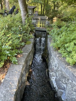 Bonneville Fish Hatchery by null