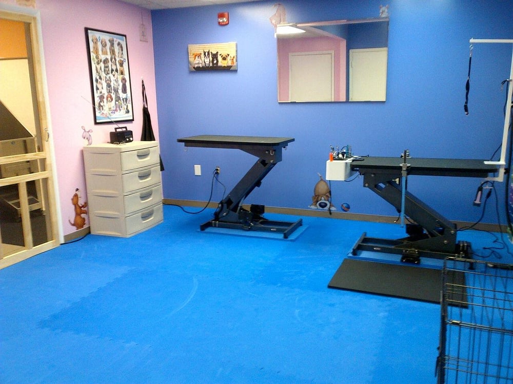 TOP NOTCH GROOMING Updated June 2024 43 Photos 11 E Chestnut Hill