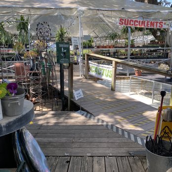 The Great Outdoors - Succulent and cactus area - Nurseries & Gardening Near Me - Austin, Texas