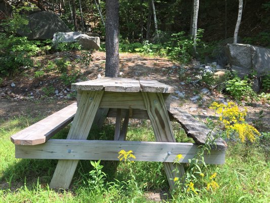 Clifford Park by null