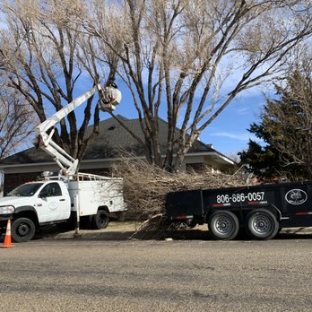 A-Z Tree Service - Tree Services Near Me - Borger, Texas A-Z Tree Service - Tree Services Near Me - Borger, Texas