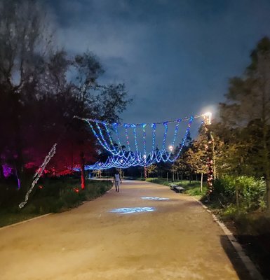 Memorial Park by null Memorial Park by null