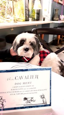 The Cavalier by null