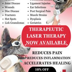 Animal Hospital & Dental Clinic - ASK ABOUT OUR THERAPEUTIC LASER THERAPY.... CALL TODAY!!
