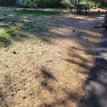 Gold Ranch RV Resort - No lawn, just dirt. - Campgrounds Near Me - Verdi, Nevada Gold Ranch RV Resort - No lawn, just dirt. - Campgrounds Near Me - Verdi, Nevada