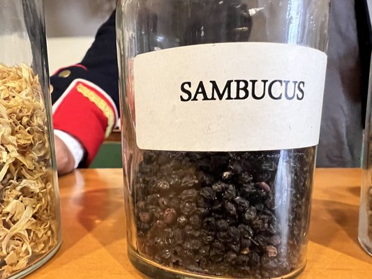 Spanish Military Hospital Museum by null