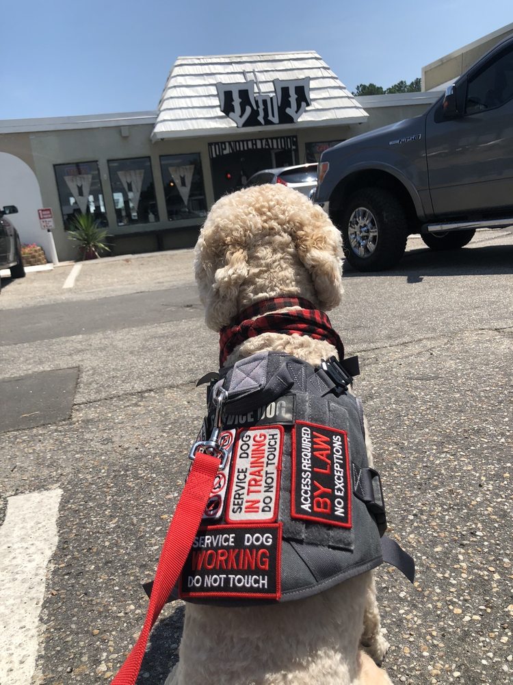 TOP NOTCH TATTOOS Updated June 2024 12 Photos & 10 Reviews 702