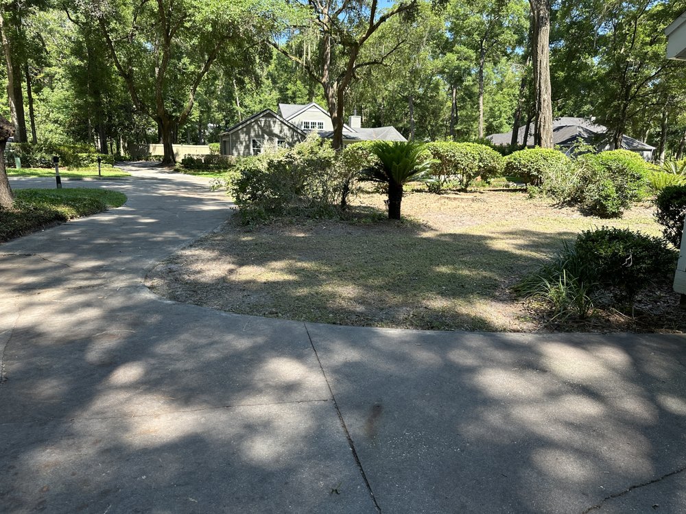 TREE TOM INC Updated May 2024 Request a Quote 235 Kincaid Ave, DeLand, Florida Tree