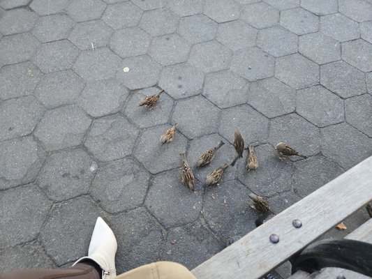 Dominique Ansel Workshop by null Dominique Ansel Workshop by null