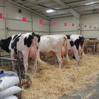 Norfolk County Fair & Horse Show - Festivals Near Me - Simcoe, Ontario