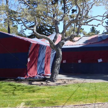 Steve Howell Termite Control - Beautiful day to be without termites - Pest Control Near Me Steve Howell Termite Control - Beautiful day to be without termites - Pest Control Near Me