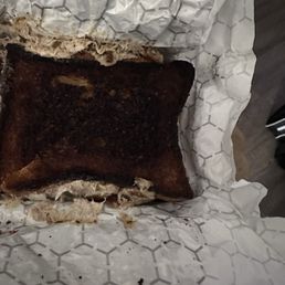 Over priced and over cooked sandwich no excuse no one was in the diner Over priced and over cooked sandwich no excuse no one was in the diner