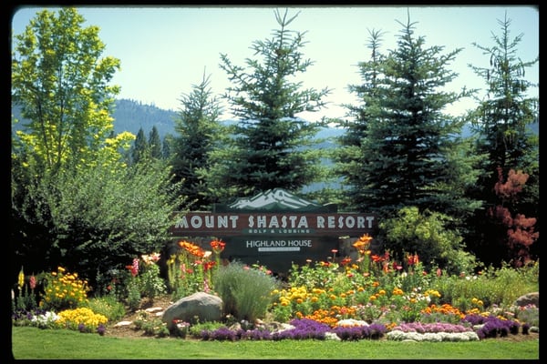 Mount Shasta Resort by null