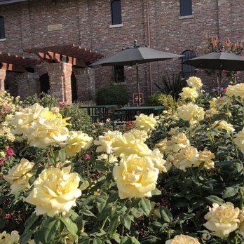 Rubino Estates Winery - lush garden for outdoor seating... - Wineries Near Me - Pleasanton, California Rubino Estates Winery - lush garden for outdoor seating... - Wineries Near Me - Pleasanton, California