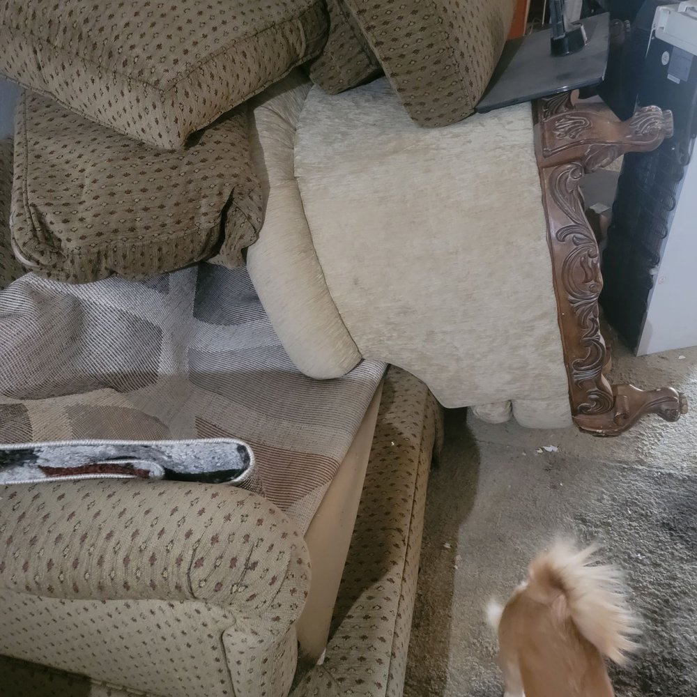IE Junk - Junk Removal & Hauling Near Me - Mentone, California IE Junk - Junk Removal & Hauling Near Me - Mentone, California