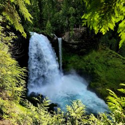 McKenzie River National Recreational Trail