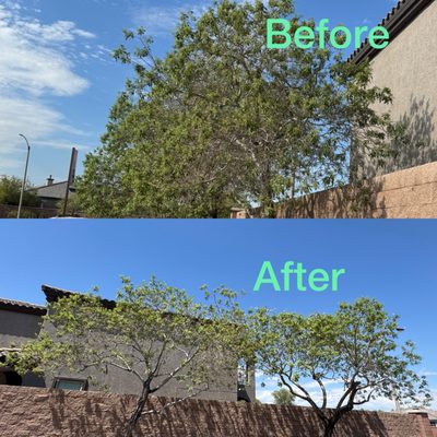 Landscaping - Transform Your Las Vegas Oasis with Expert Landscaping!
Dreaming of a lush, inviting outdoor space in the heart of the desert? Our team of skilled landscapers brings creativity, precision, and local expertise to every project. From custom desert gardens and water-wise installations to vibrant lawns and elegant patios, we turn your vision into reality—while boosting your property’s curb appeal and value.
Drought-resistant designs that thrive in the Vegas climate
Modern patios, walkways, and outdoor kitchens
Meticulous lawn care & maintenance plans
Stunning flower beds and accent lighting
Free consultations and transparent quotes
Let us transform your yard into the envy of the neighborhood!
Book your consultation today and enjoy outdoor living, Las Vegas style. Landscaping - Transform Your Las Vegas Oasis with Expert Landscaping!
Dreaming of a lush, inviting outdoor space in the heart of the desert? Our team of skilled landscapers brings creativity, precision, and local expertise to every project. From custom desert gardens and water-wise installations to vibrant lawns and elegant patios, we turn your vision into reality—while boosting your property’s curb appeal and value.
Drought-resistant designs that thrive in the Vegas climate
Modern patios, walkways, and outdoor kitchens
Meticulous lawn care & maintenance plans
Stunning flower beds and accent lighting
Free consultations and transparent quotes
Let us transform your yard into the envy of the neighborhood!
Book your consultation today and enjoy outdoor living, Las Vegas style.