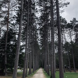 4-H Camp Overlook