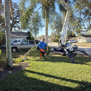 Barto Stumps and Tree Service - Tree Services Near Me - Spring Hill, Florida Barto Stumps and Tree Service - Tree Services Near Me - Spring Hill, Florida