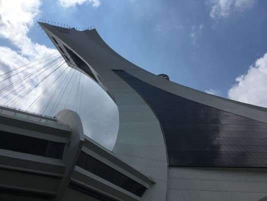 The Montreal Tower by null