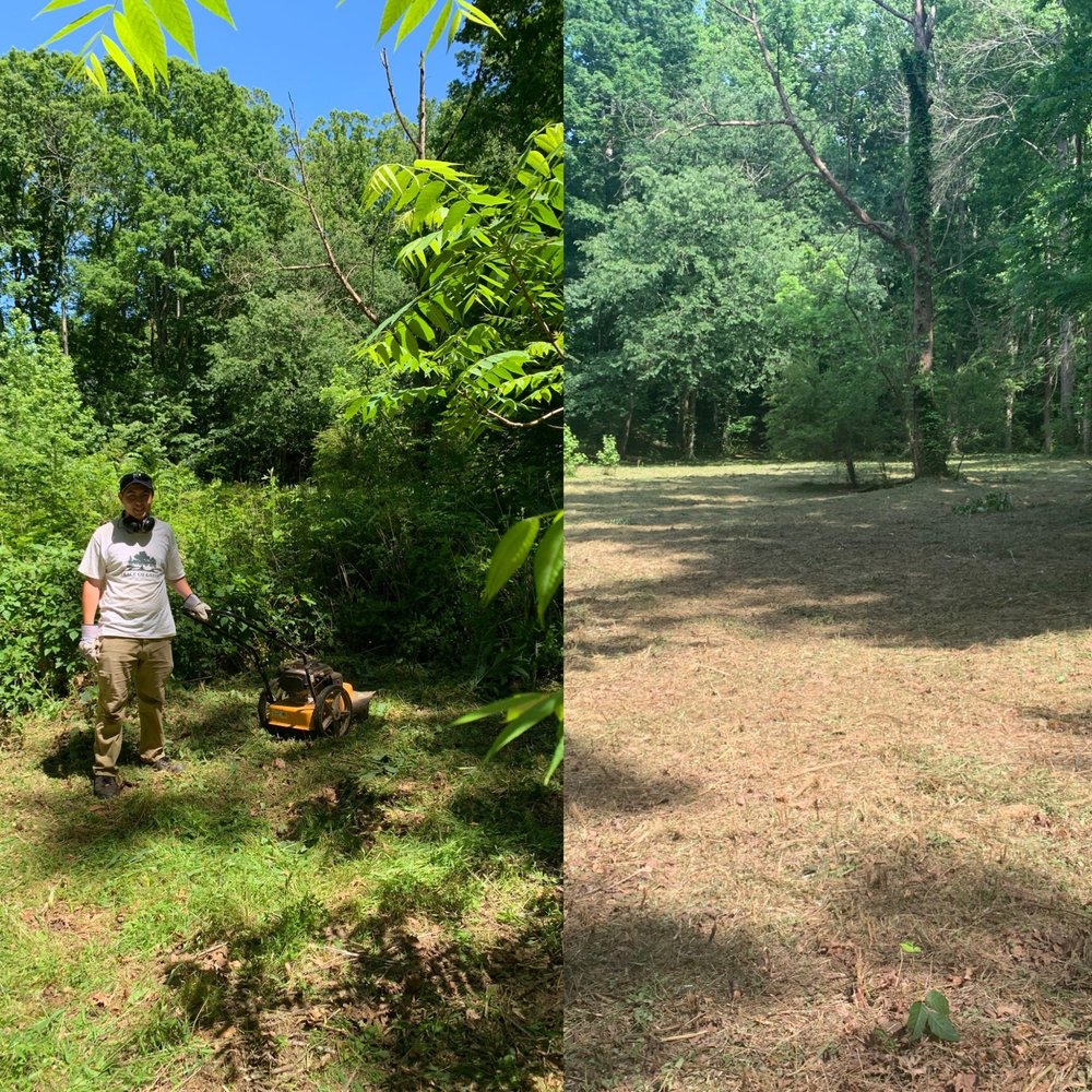 Peace of Green Landscaping - tree service in Greensboro, NC