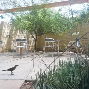 Saguaro Library - Shaded patio reading area. - Libraries Near Me - Phoenix, Arizona