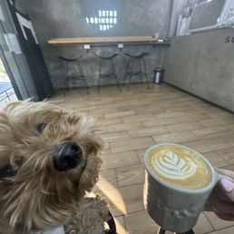Latte Latte