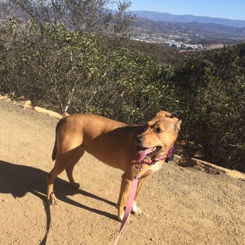 Double Peak Park - Hiking the trail to Double Peak Park is a great challenge! - Parks Near Me - San Marcos, California Double Peak Park - Hiking the trail to Double Peak Park is a great challenge! - Parks Near Me - San Marcos, California