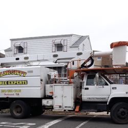 Almighty Tree Experts - Hackensack, NJ