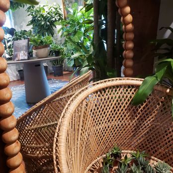 Oasis Plant Shop - Nurseries & Gardening Near Me - Dallas, Texas