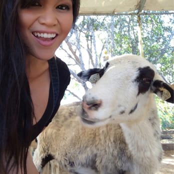 Tanaka Farms - My main squeeze for the day - CSA Near Me - Irvine, California Tanaka Farms - My main squeeze for the day - CSA Near Me - Irvine, California