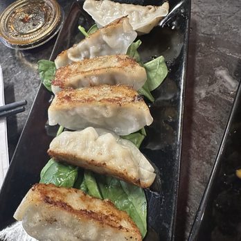 Hokkaido Ramen House - Gyoza (Potstickers) - Ramen Near Me - Omaha, Nebraska Hokkaido Ramen House - Gyoza (Potstickers) - Ramen Near Me - Omaha, Nebraska