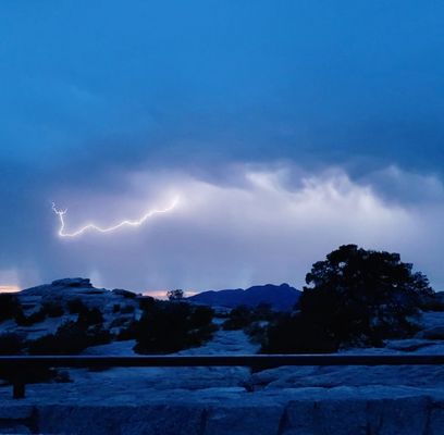 Santa Catalina Natural Area by null