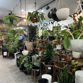 Plantlush - Nurseries & Gardening Near Me - San Jose, California Plantlush - Nurseries & Gardening Near Me - San Jose, California