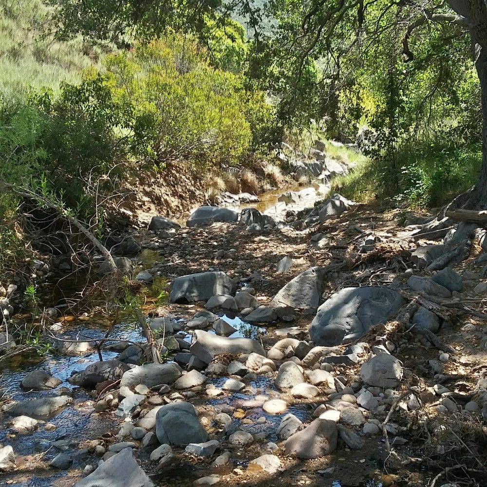 Oak Canyon Trail - Watch your step - Hiking Near Me Oak Canyon Trail - Watch your step - Hiking Near Me