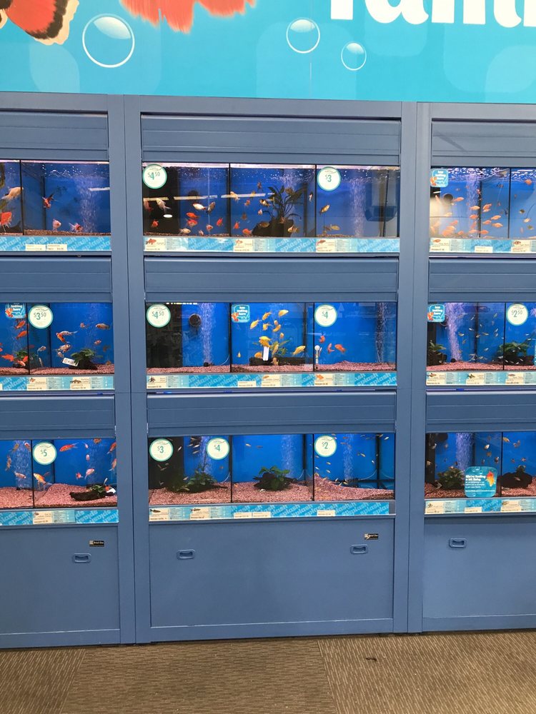 PETSTOCK Updated June 2024 431 Old Geelong Rd, Hoppers Crossing