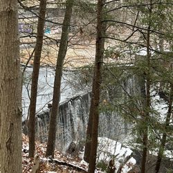 Ravine Trail