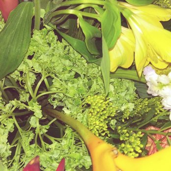 Saucha Floral Design - Florists Near Me - Ft. Lauderdale, Florida Saucha Floral Design - Florists Near Me - Ft. Lauderdale, Florida