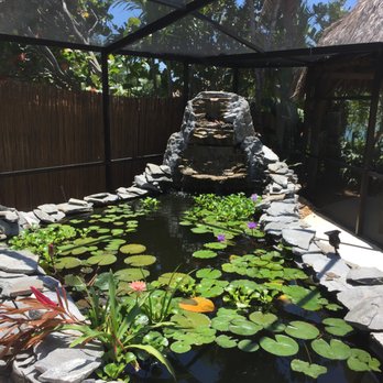 Coastal Aquatics - Aquarium Services Near Me - Oldsmar, Florida Coastal Aquatics - Aquarium Services Near Me - Oldsmar, Florida