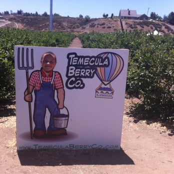 Temecula Berry - One of the many photo-oops for the kiddos! - Farms Near Me - Temecula, California Temecula Berry - One of the many photo-oops for the kiddos! - Farms Near Me - Temecula, California