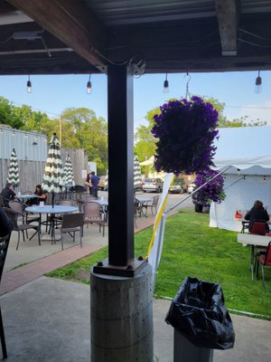 Angry Buffalo @ The Rose Garden by null