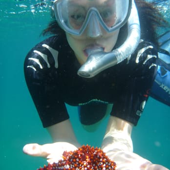 Marlin Adventures - Scuba Diving Near Me - La Paz, BCS