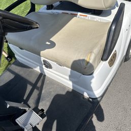 At 88 bucks a person should have better carts