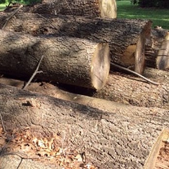Carrozza Brothers - Tree Services Near Me Carrozza Brothers - Tree Services Near Me