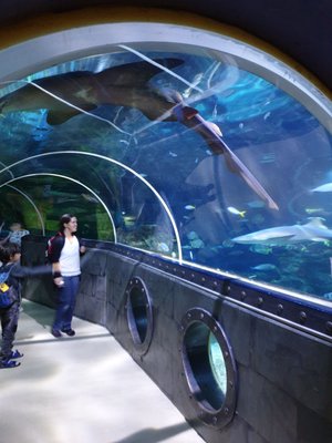 SEA LIFE Konstanz by null