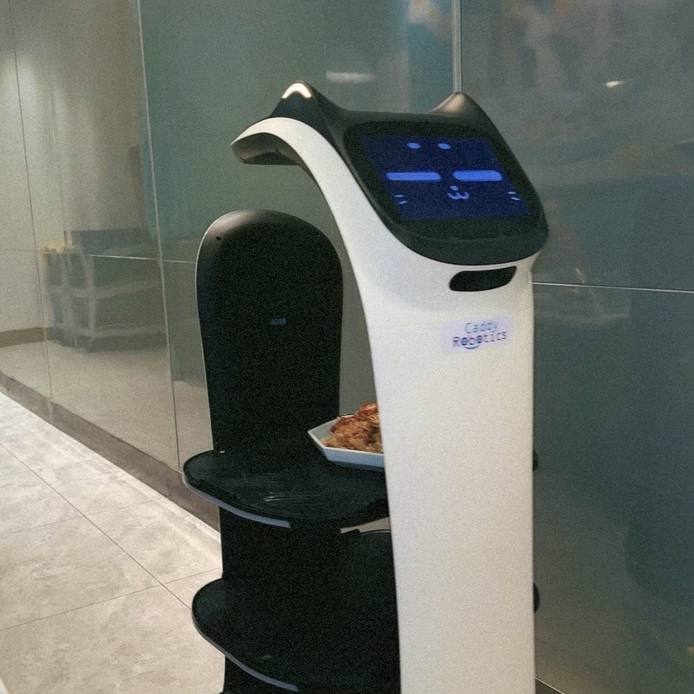 Yao Yao Restaurant - Food Server Robot (Caddy Robotics) - Chinese Near Me - San Leandro, California
