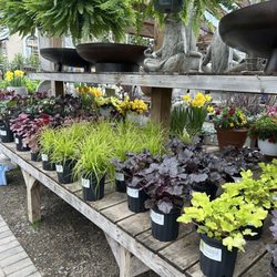 Pots & Plants